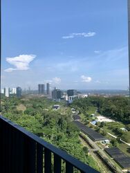 Normanton Park (D5), Apartment #557525941